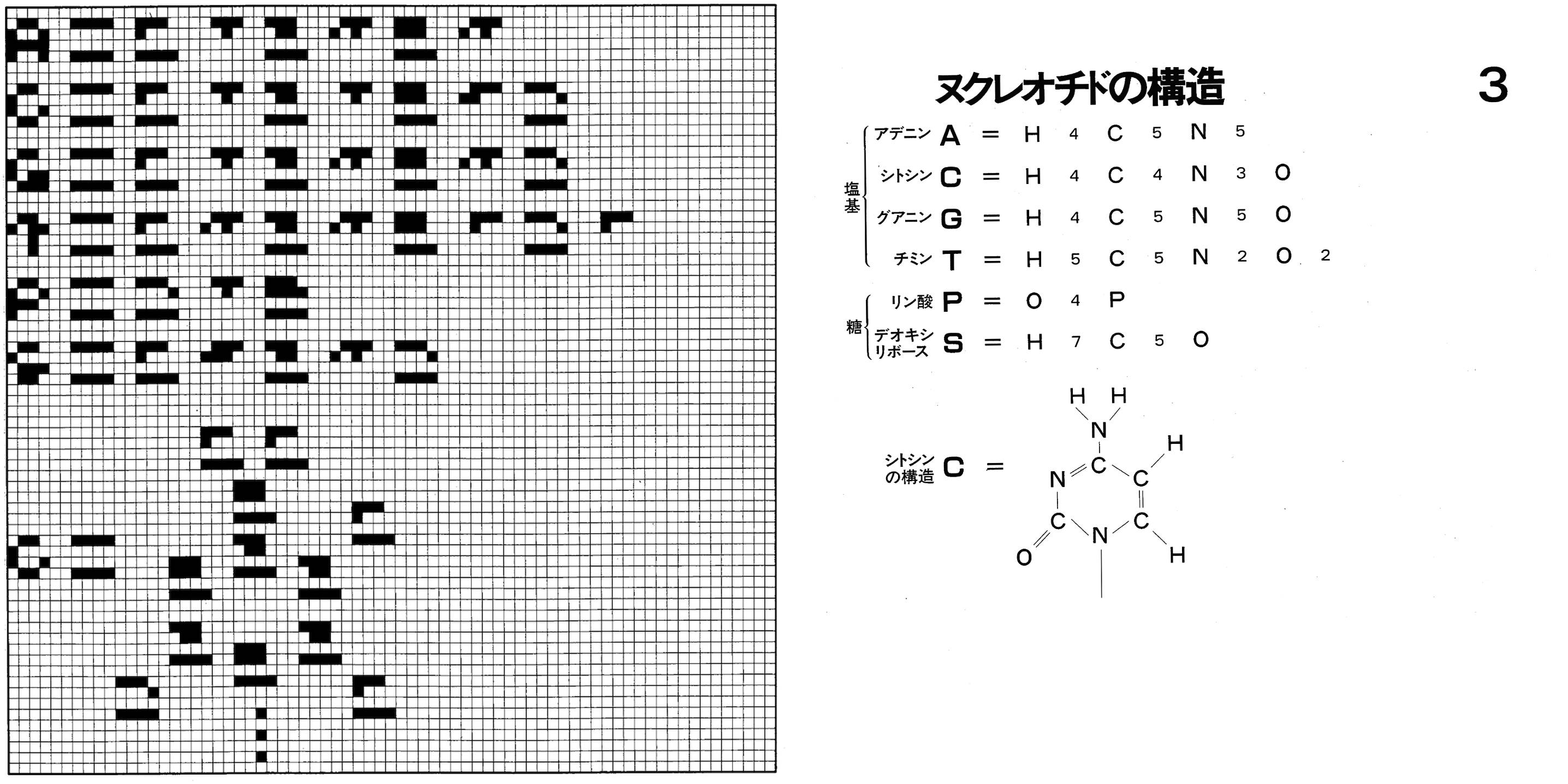 CC83 画像3