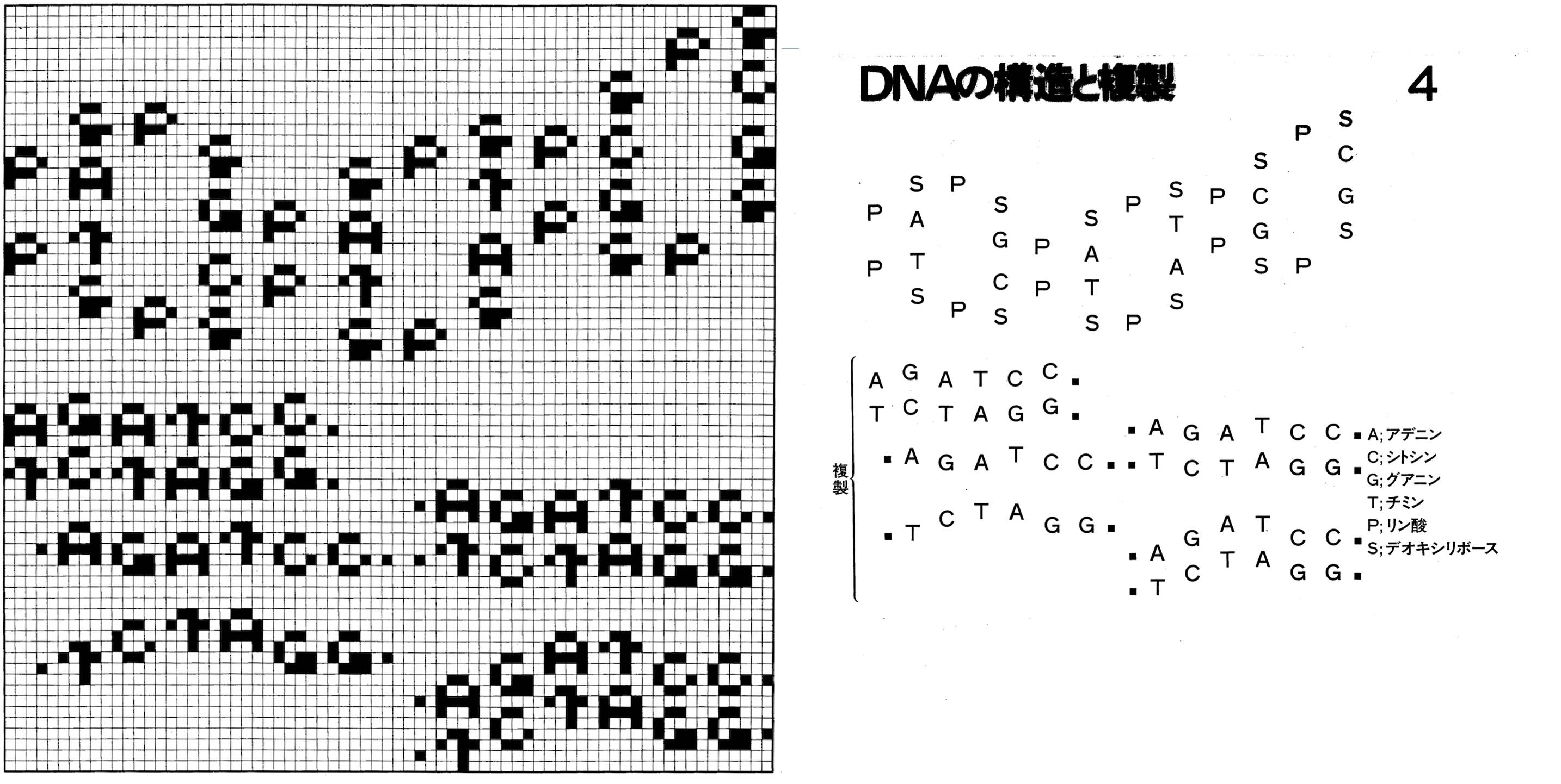 CC83 画像4