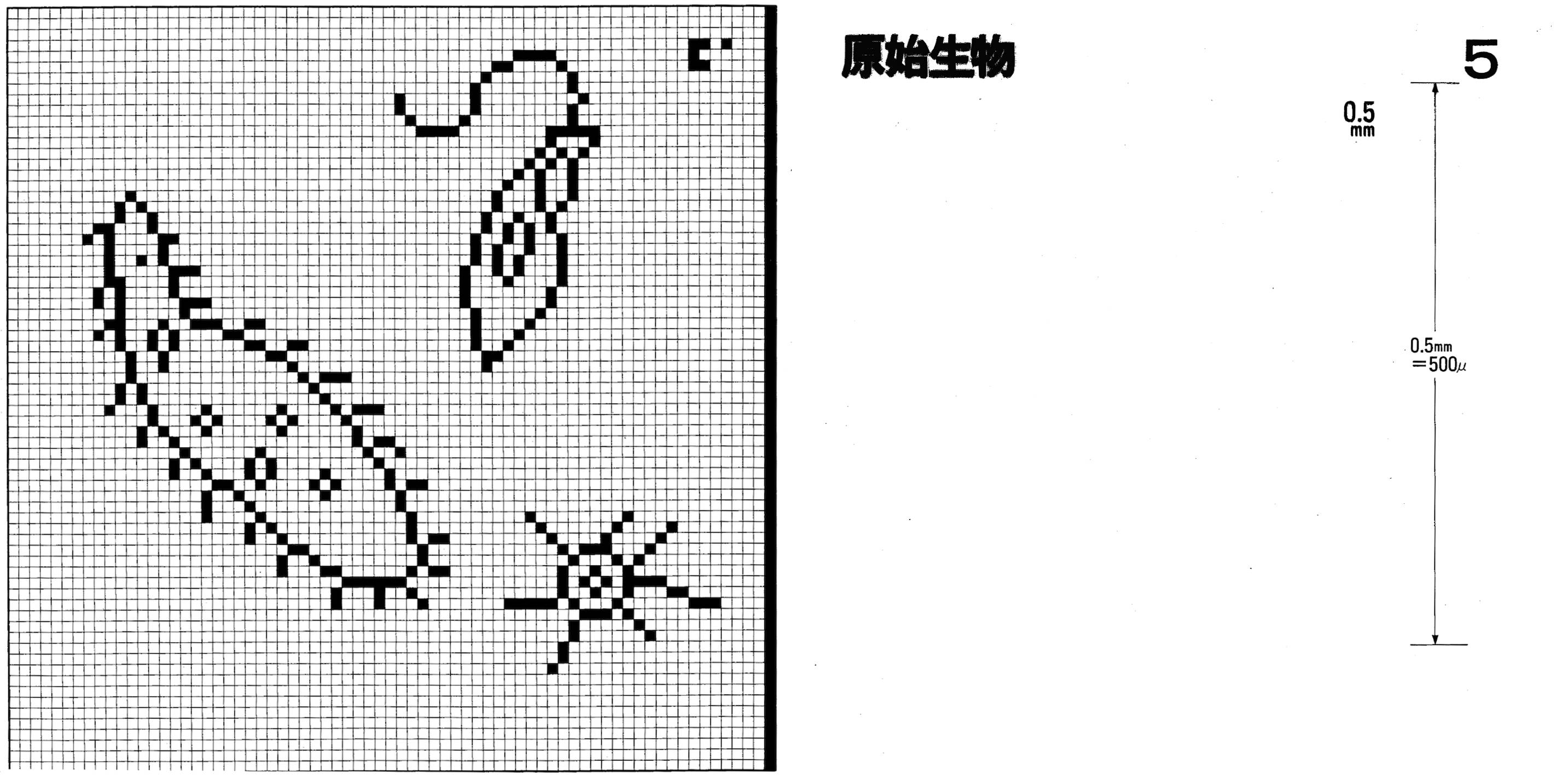 CC83 画像5