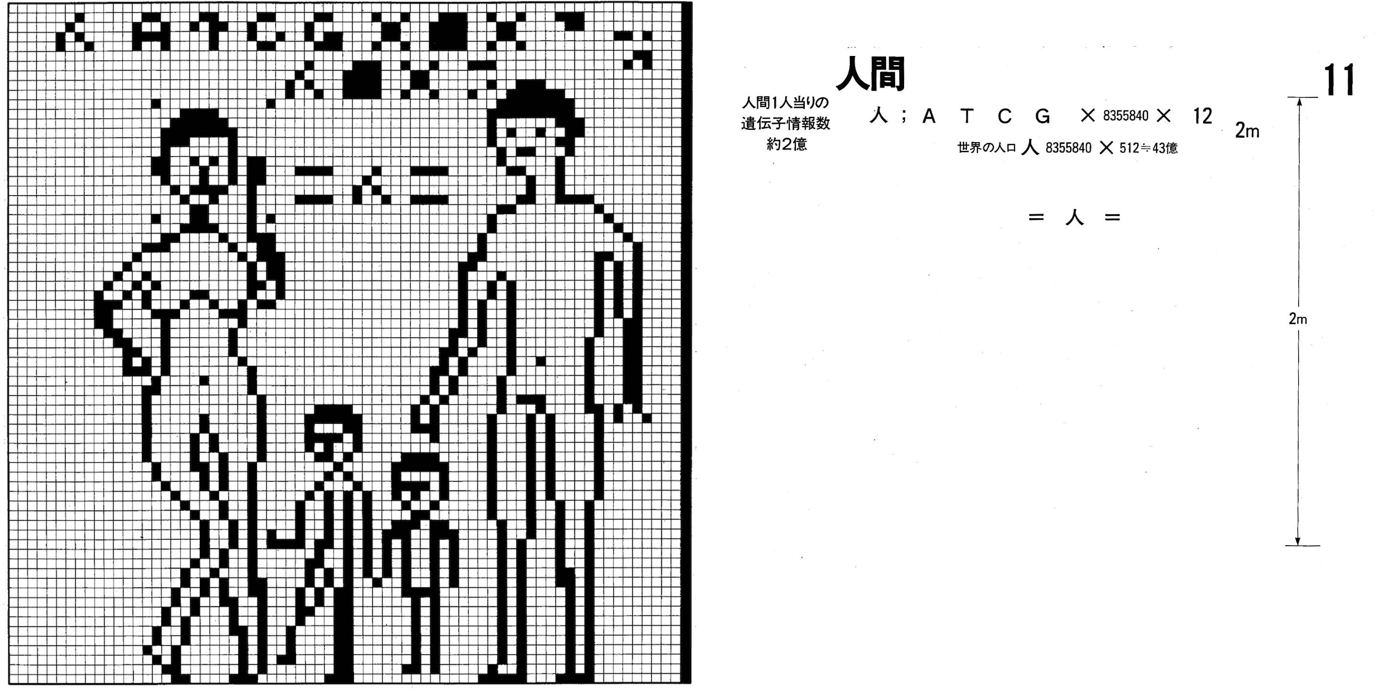 CC83 画像11